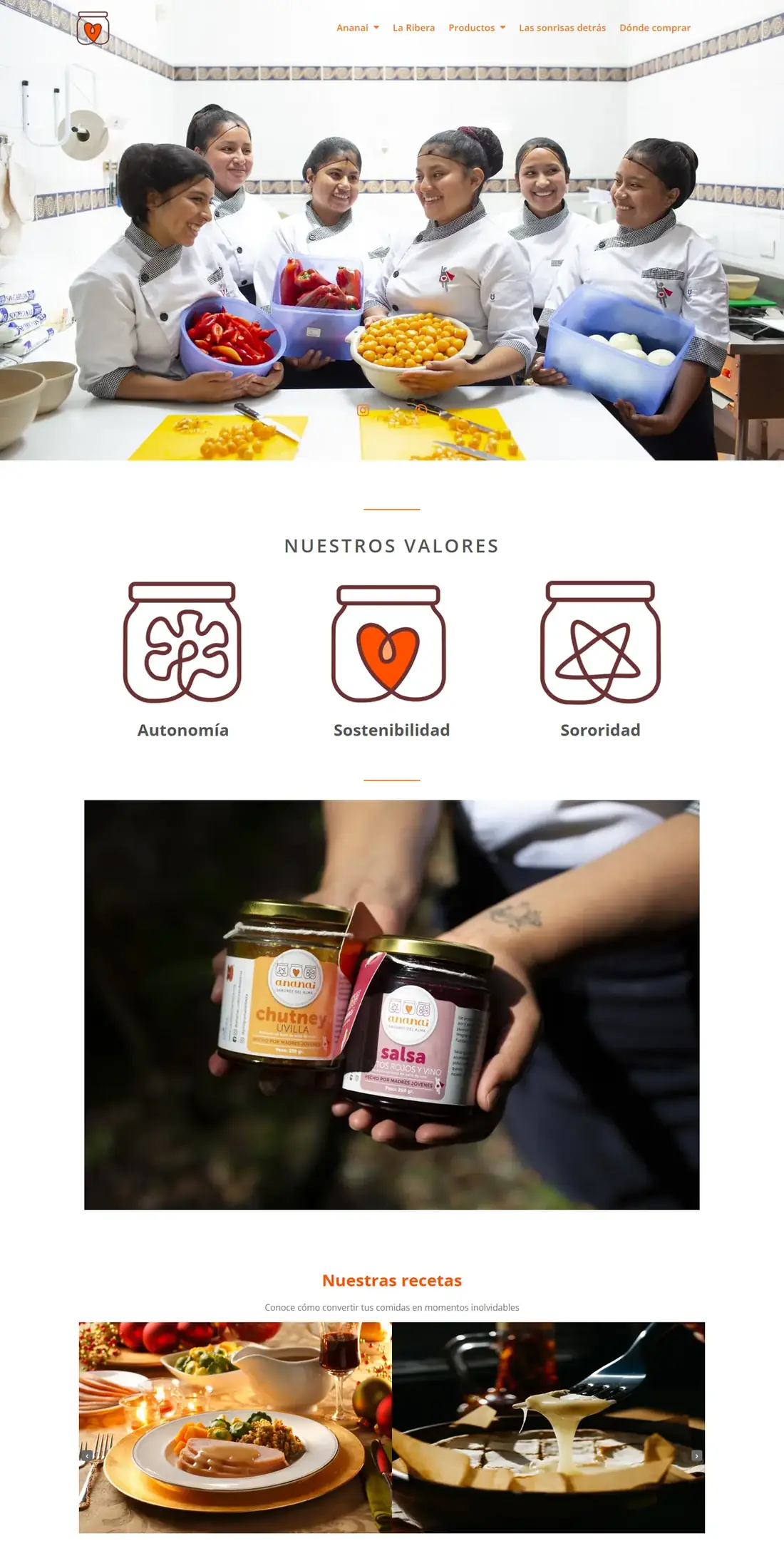 Captura del sitio web de Ananai